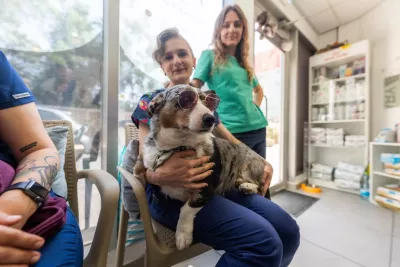  https://cdn.animal-care.co.il/images/content/2025/07//1752302776_45e0e39512bfae2493b7.thumb.webp 