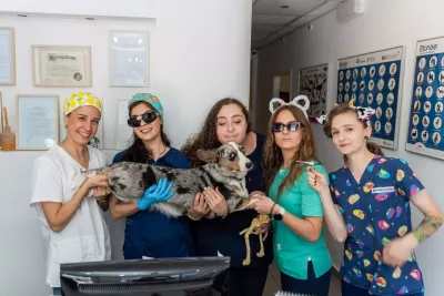  https://cdn.animal-care.co.il/images/content/2025/07//1752303176_1f1687d96071560a6e2c.thumb.webp 