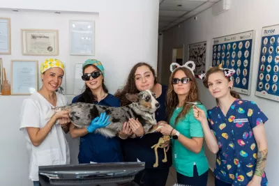  https://cdn.animal-care.co.il/images/content/2025/07//1752303176_7367fd64881b98ac6da7.thumb.webp 