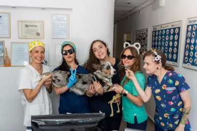  https://cdn.animal-care.co.il/images/content/2025/07//1752303177_205c0ea2c839fd27f0b6.thumb.webp 