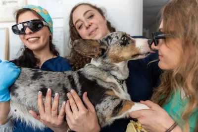  https://cdn.animal-care.co.il/images/content/2025/07//1752303177_da0558b016f998a5d9f9.thumb.webp 