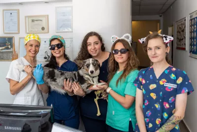  https://cdn.animal-care.co.il/images/content/2025/07//1752303178_11e8ea85db5af3ceb362.thumb.webp 