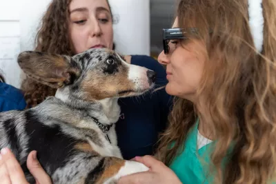  https://cdn.animal-care.co.il/images/content/2025/07//1752303178_6418e5a63f564e9073f6.thumb.webp 