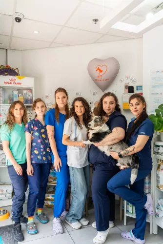  https://cdn.animal-care.co.il/images/domains/2025/07//1752272813_f4cceb15a72aeae6b41c.thumb.webp 