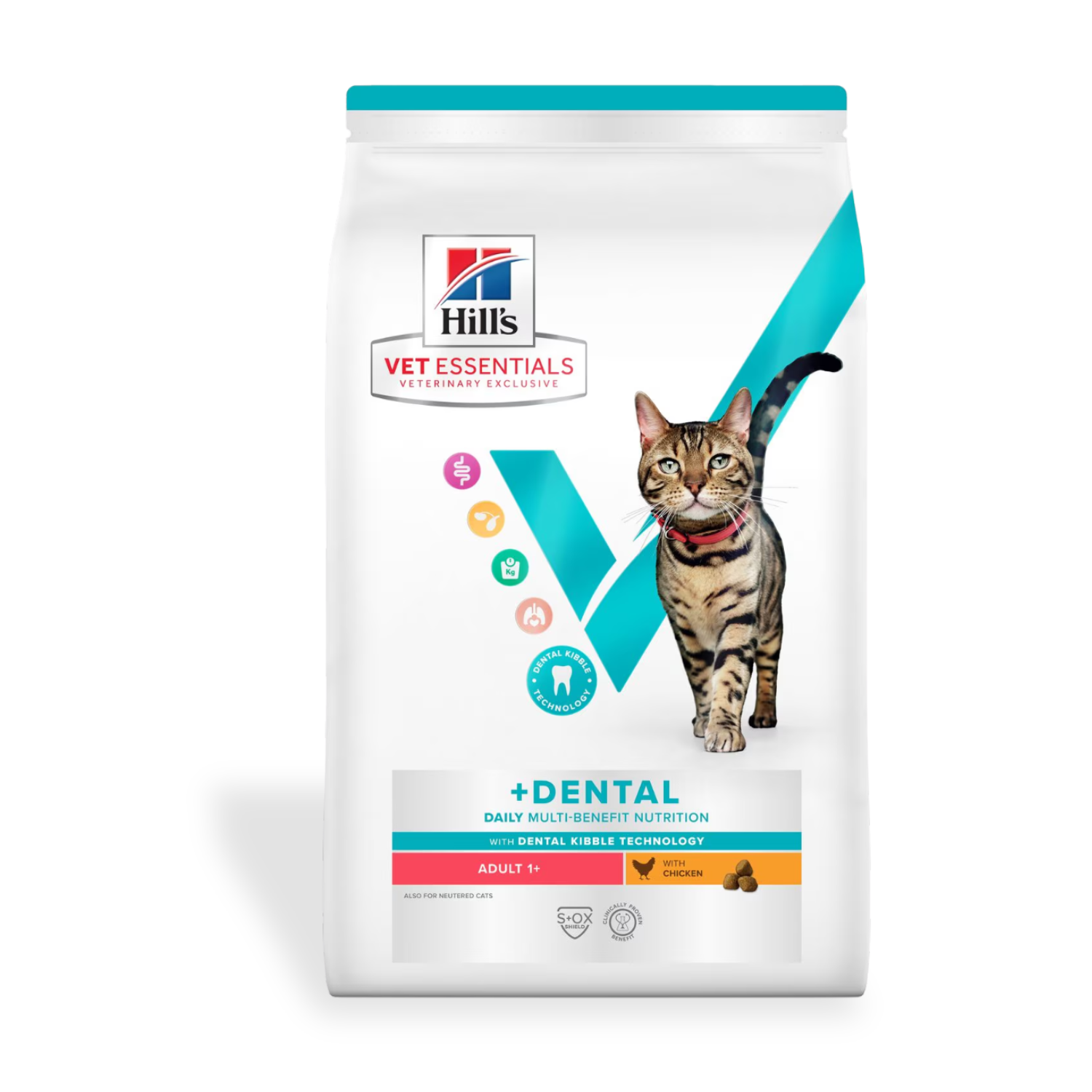 Image: Hills Vet Essentials Dental - 3 kg - Advanced daily dental care for adult cats. 3 kg pack with clinically proven kibble for cleaner teeth, healthy weight, skin, and digestion.