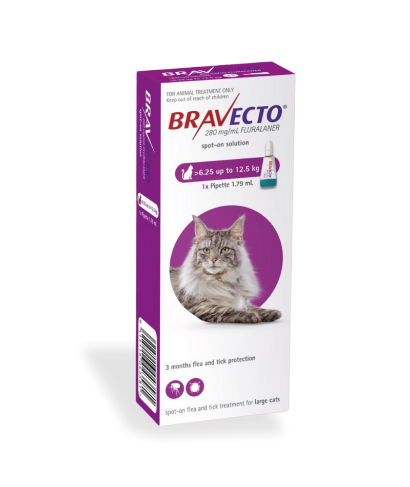 Image: Bravecto for Cats 6.25–12.5 kg - Long-lasting flea and tick treatment for large cats. One application = up to 12 weeks of powerful protection.