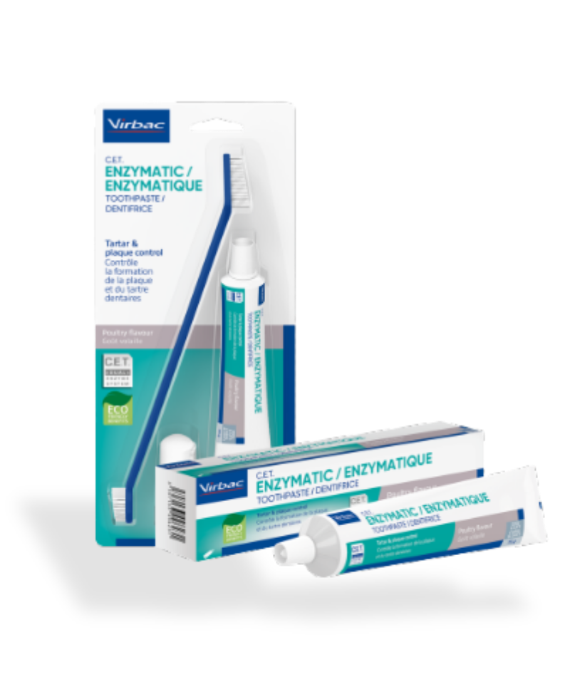 Image: Virbac Enzymatic Toothpaste for Dogs & Cats - משחת שיניים לשימוש יומיומי לכלבים וחתולים – מפחיתה רובד חיידקים ואבנית, משפרת היגיינת הפה ואינה דורשת שטיפה.